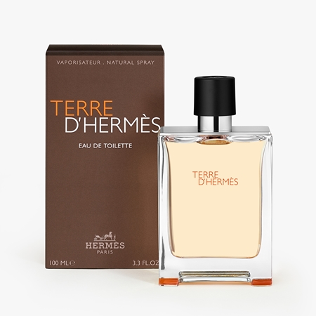 HERMÈS Terre d'Hermès Eau de Toilette für Herren