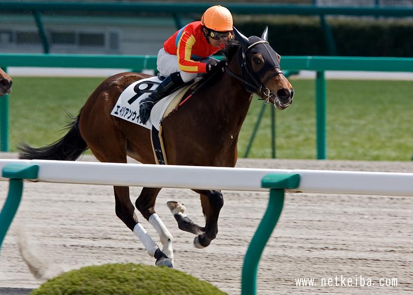 エイジアンウインズ (Asian Winds) | 競走馬データ - netkeiba