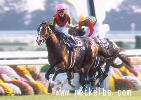 世界に一つ ウマ娘 岩田康誠騎手サイン入り デルタブルースポスター