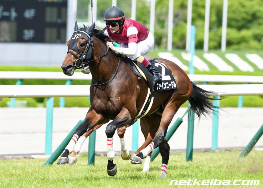 ファインニードル (Fine Needle) | 競走馬データ - netkeiba