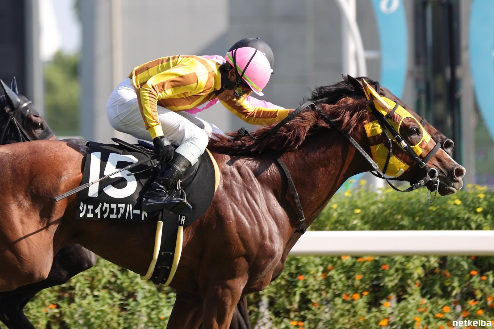 シェイクユアハート (Shake Your Heart) | 競走馬データ - netkeiba