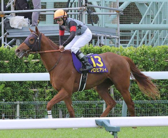 き*】様 1999年 皐月賞 現地馬券18頭 き*】様 1999年