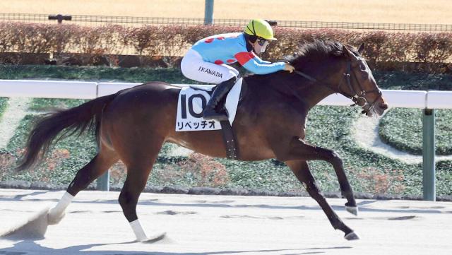 ルヴァンスレーヴのニュース・最新情報 | 競馬まとめ - netkeiba.com