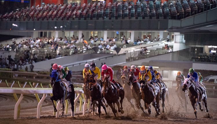 大井競馬場 | netkeiba 開催日程・結果・予想・コース分析・データ