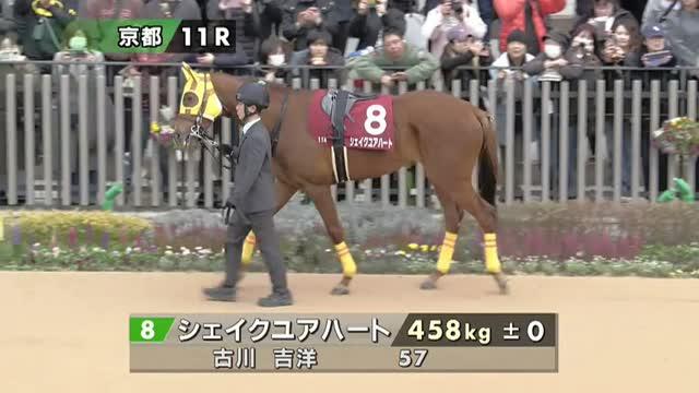 シェイクユアハート (Shake Your Heart) | 競走馬データ - netkeiba