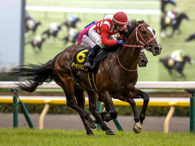 パラダイスステークス(L) 結果・払戻 | 2024年6月23日 東京11R レース