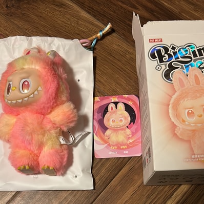 ポップマート ザ モンスターズ (ラブブ) ビッグイントゥエナジー