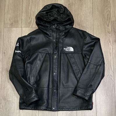 Supreme x The North Face Leather Mountain Parka 