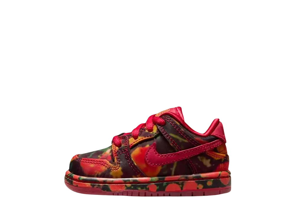 オズの魔法使い × ナイキ SB ダンク ロー 