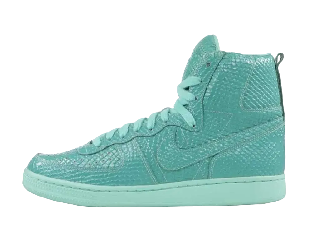 Swagger × Nike Terminator Hi Supreme QK 