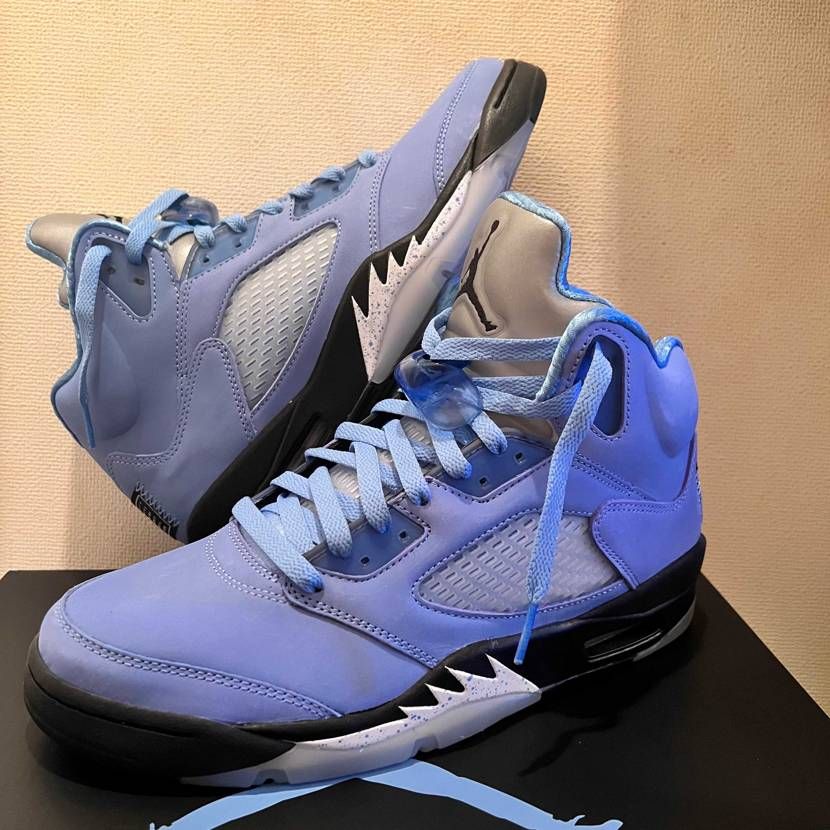 ナイキ エアジョーダン5 レトロ SE 