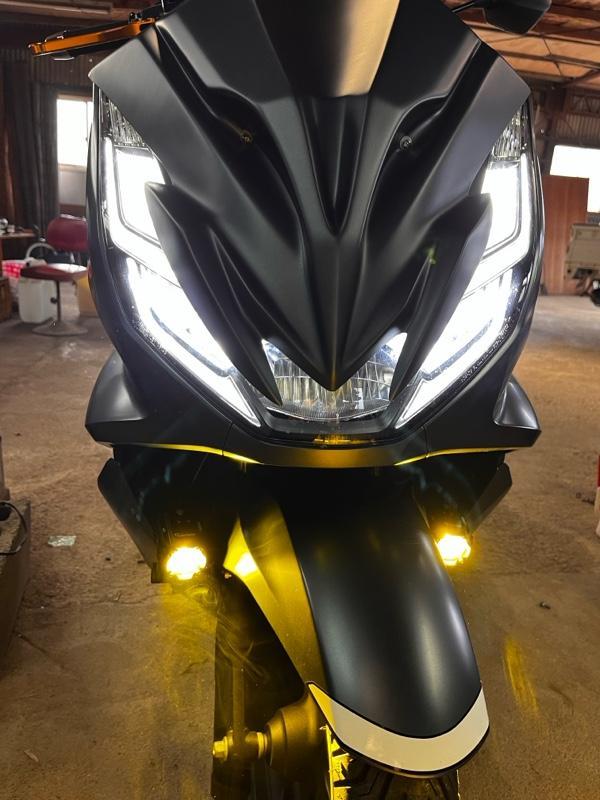 カエディア バイク LED プロジェクター フォグ ランプ 補助 ライト