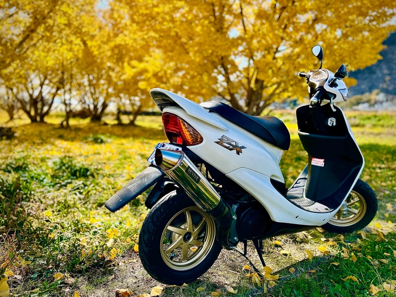 ライブディオZX、変化する。｜田なっくすのブログ｜田なっくすのページ