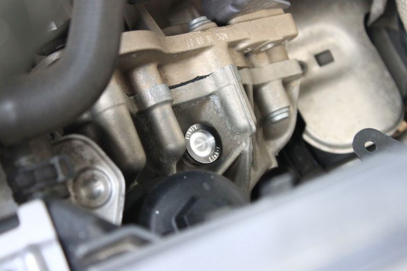 リンク+1 SEV / ダブリュ・エフ・エヌ(セヴ / ダブリュ・エフ・エヌ)の