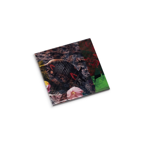 Merzbow – Soundohm