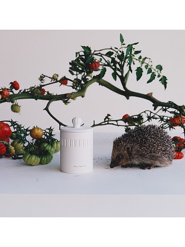 Jo Malone London Townhouse Green Tomato Vine Scented Candle | Saks