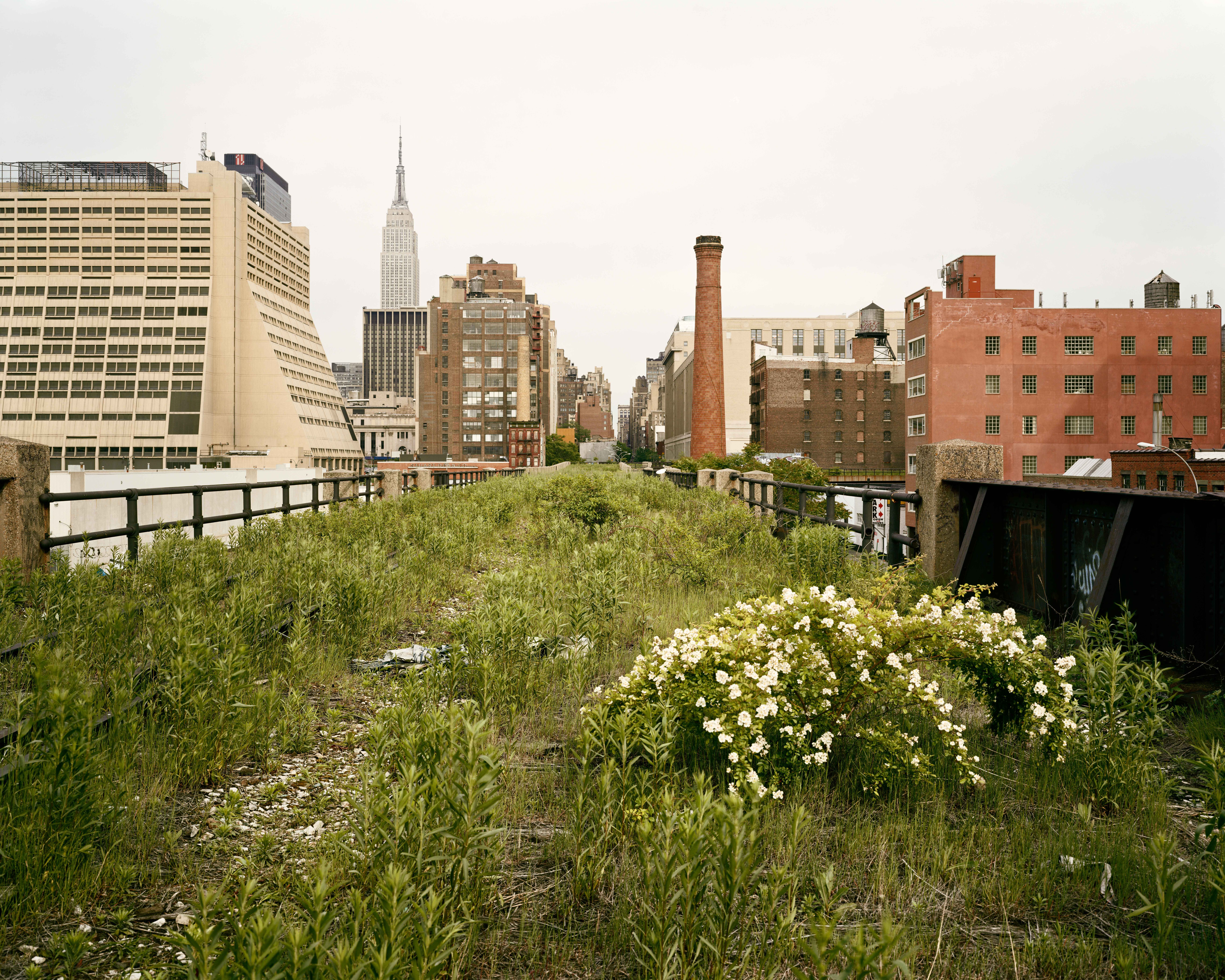 A Walk on the High Line | Joel Sternfeld