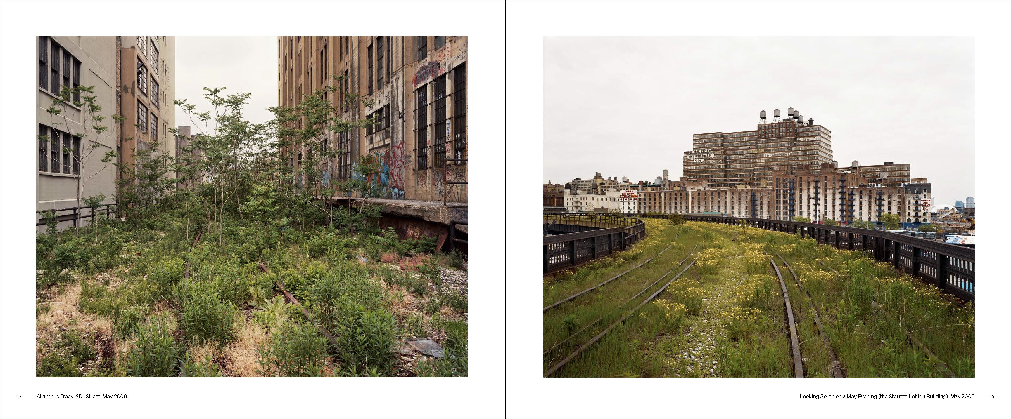Walking the High Line New Revised Edition | Joel Sternfeld