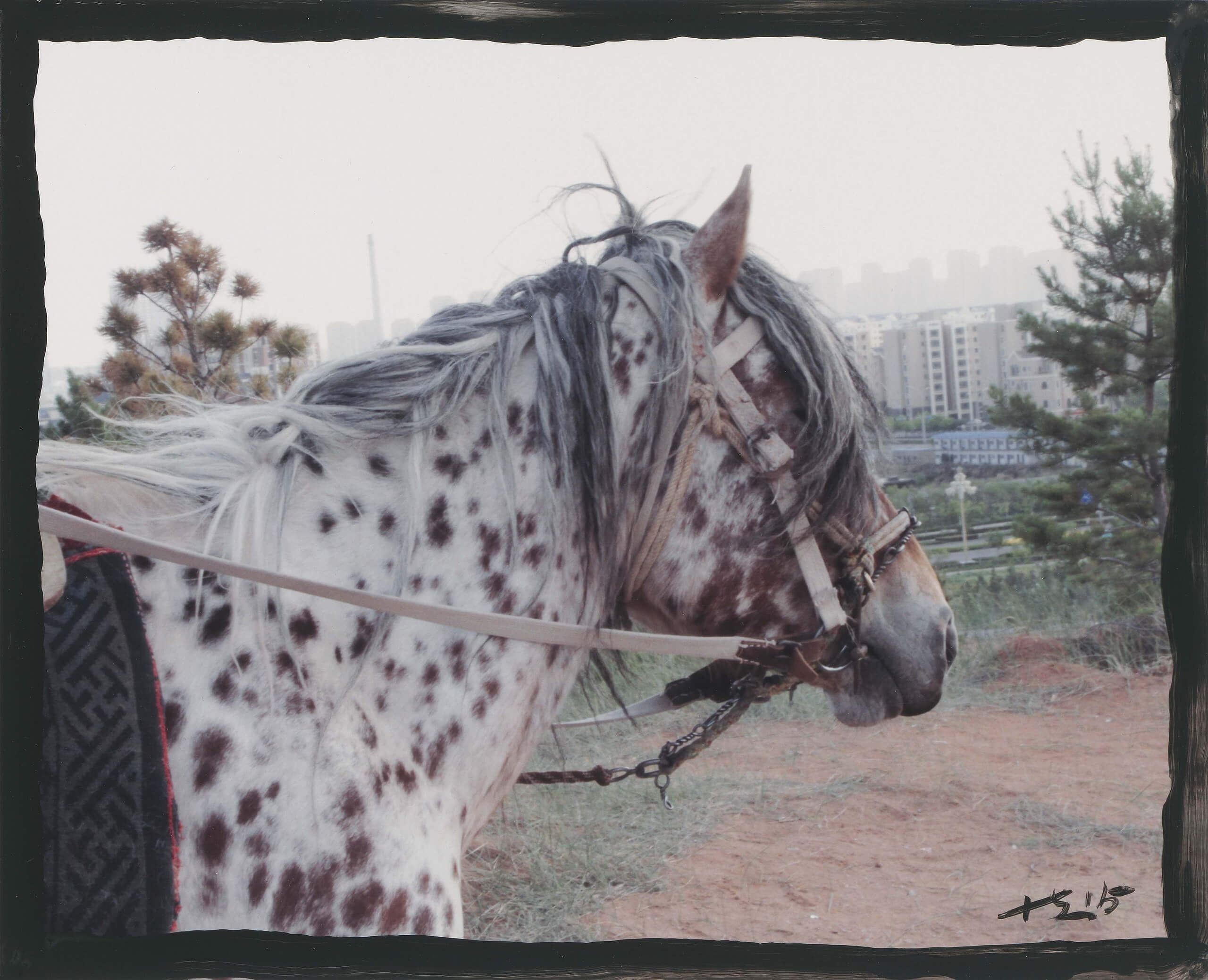 Liu Xiaodong: Painting as Shooting at Faurschou Copenhagen | Faurschou