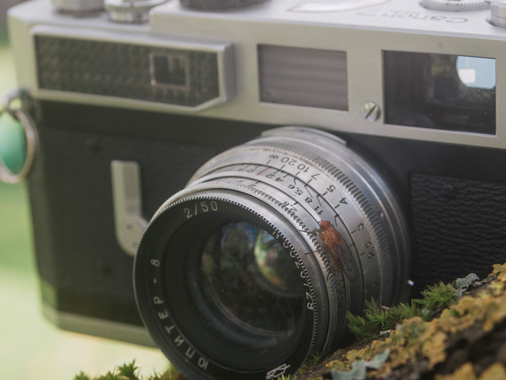 Canon Model 7 LTM Camera Review - 50mmF2