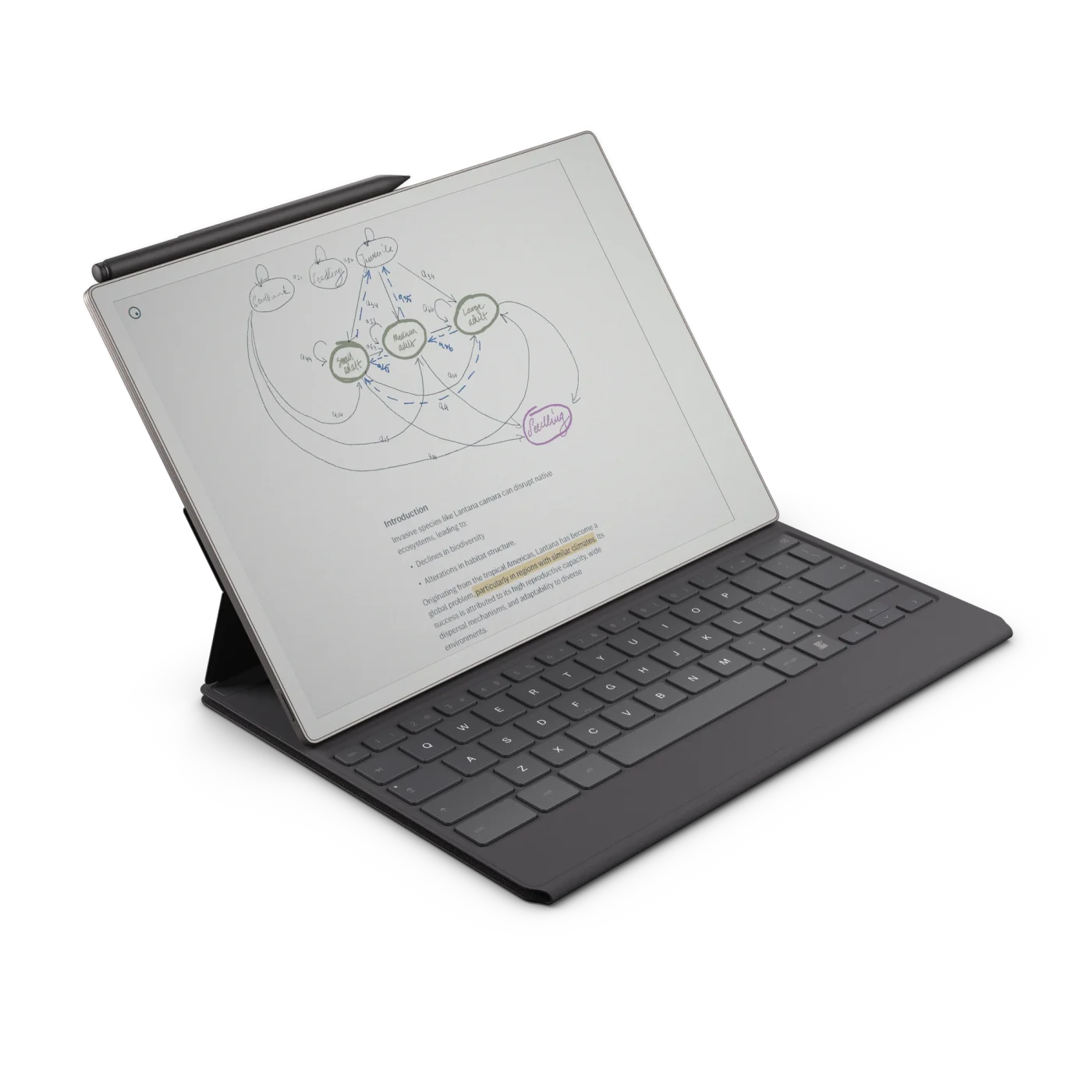 Type Folio for reMarkable Paper Pro | reMarkable