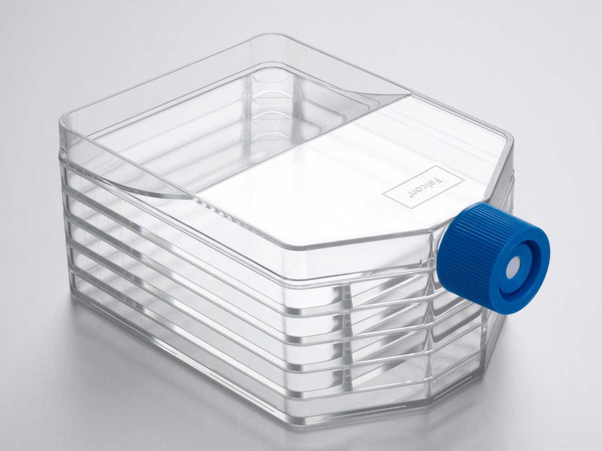 Buy Falcon® 875cm² Rectangular Straight Neck Cell Culture Multi