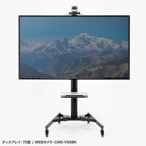 サンワダイレクト本店 サンワサプライ【オフィス・PC周辺通販】