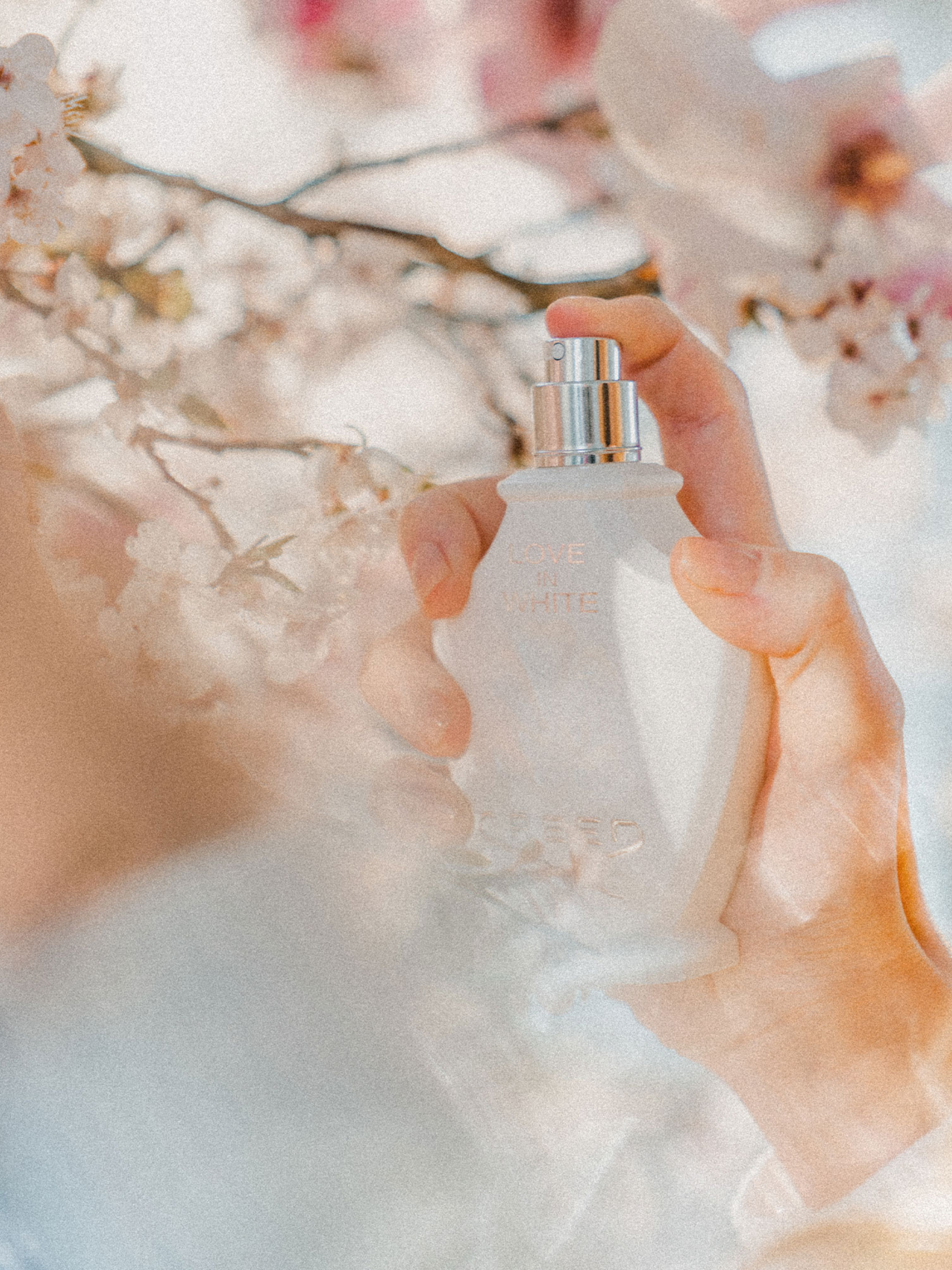 Love in White Body Lotion | Creed Australia