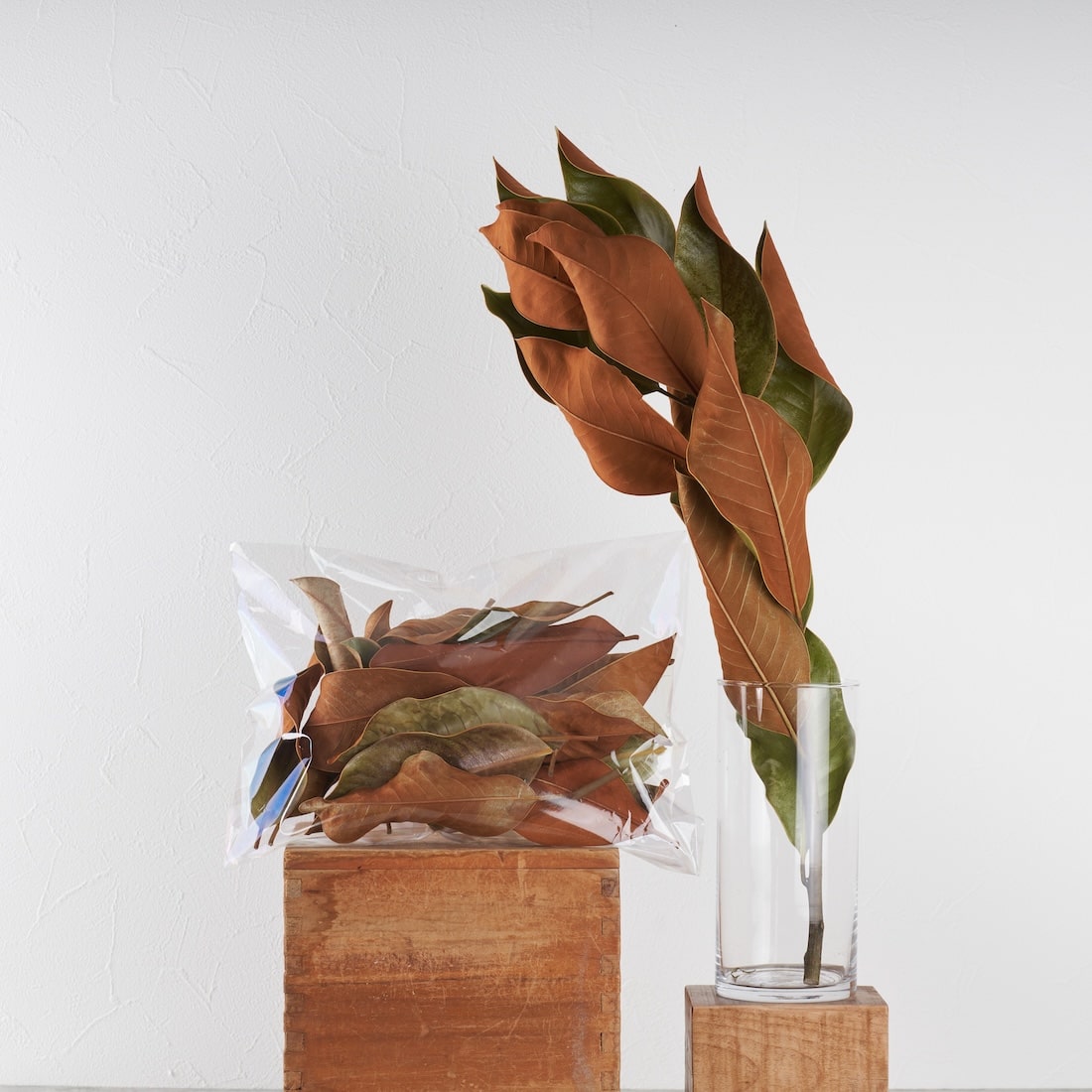 ディスプレイの幅が広がる、ドライボタニカル量り売り（ユーカリロング