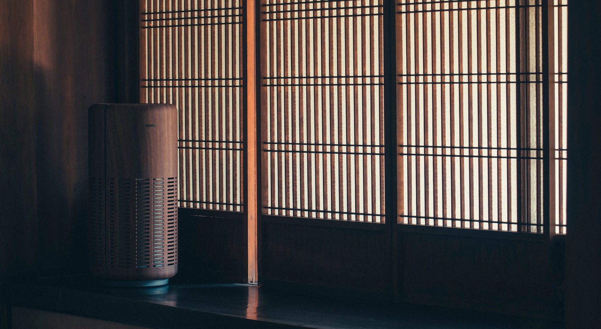 LEAF 250 Collaborated by SOPH – cado