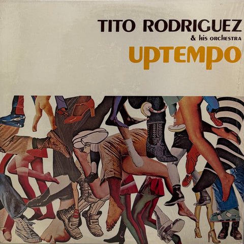 サニーデイ・サービス / 24時 – TICRO MARKET