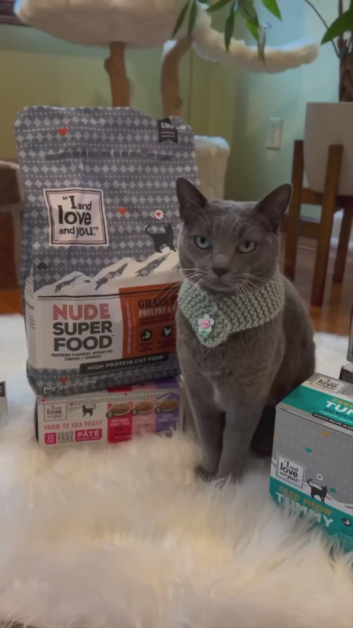 Ninja Cat Jiu-Jit Stew Variety Pack | I and love and you