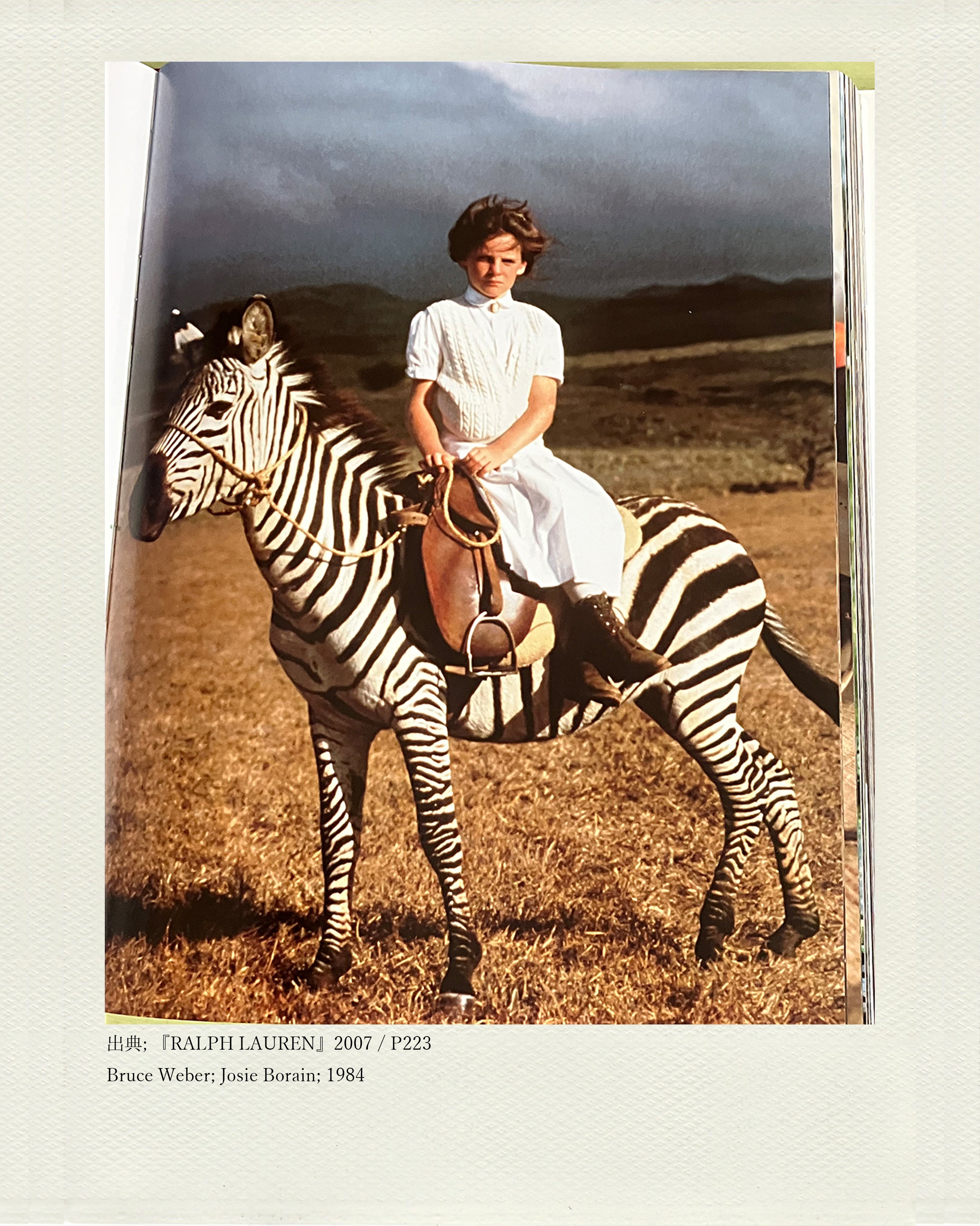 ゼブラ 1980年代～1990年代 – THE CORONA UTILITY