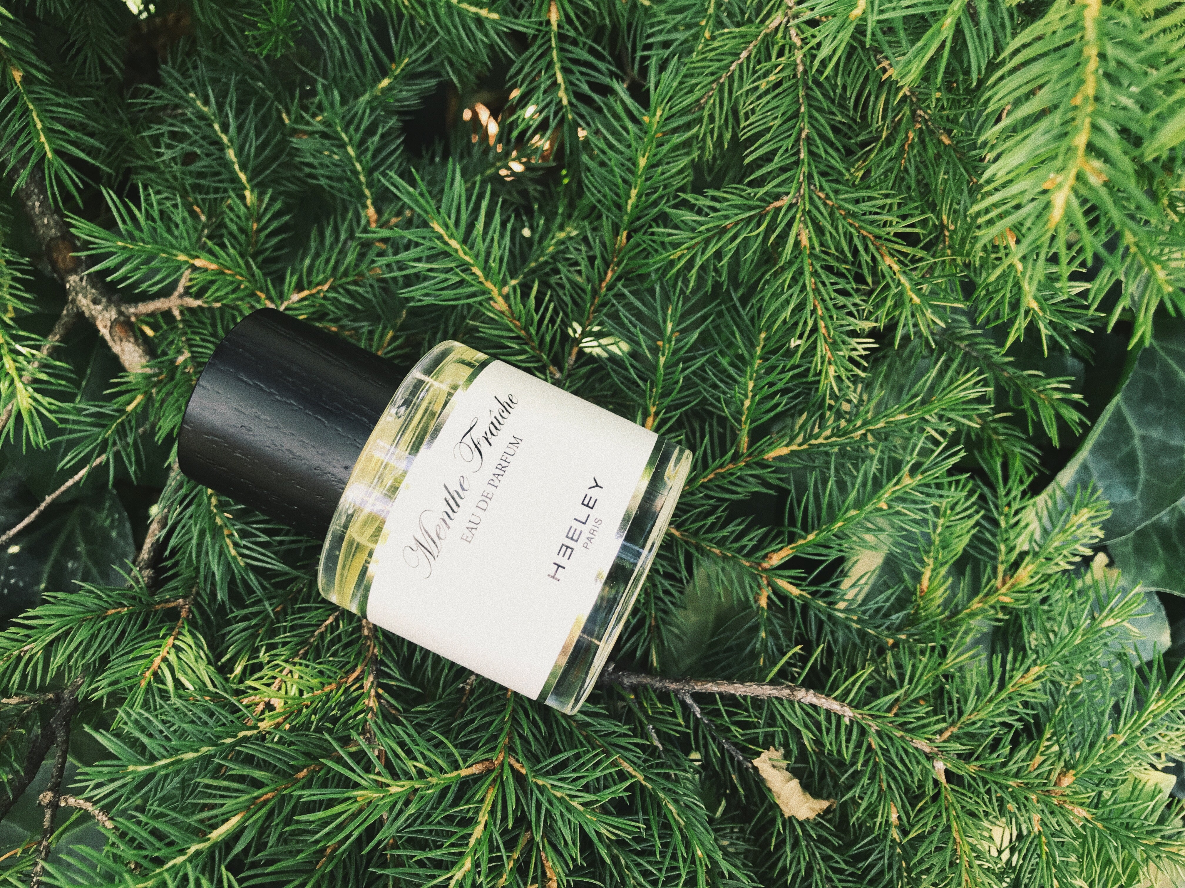 あの“HEELEY（ヒーリー）”がNOSE SHOPに仲間入り！ – NOSE SHOP