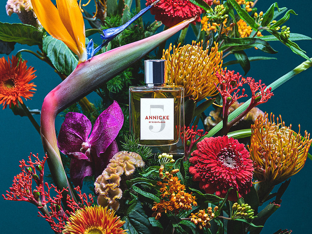 Eight & Bobより新シリーズ「アニックコレクション」が10/28発売開始