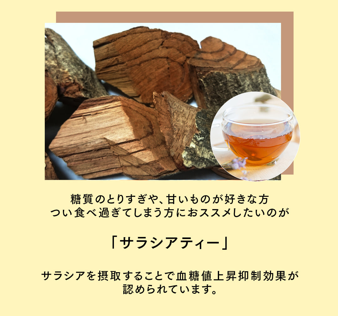 サラシアインスタントティー ほうじ茶ブレンド10本入り – 大賀薬局