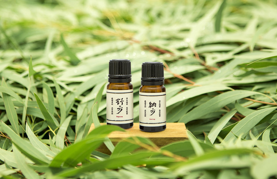 ヒノキエッセンシャルオイル 良方-檜木精油 10mL