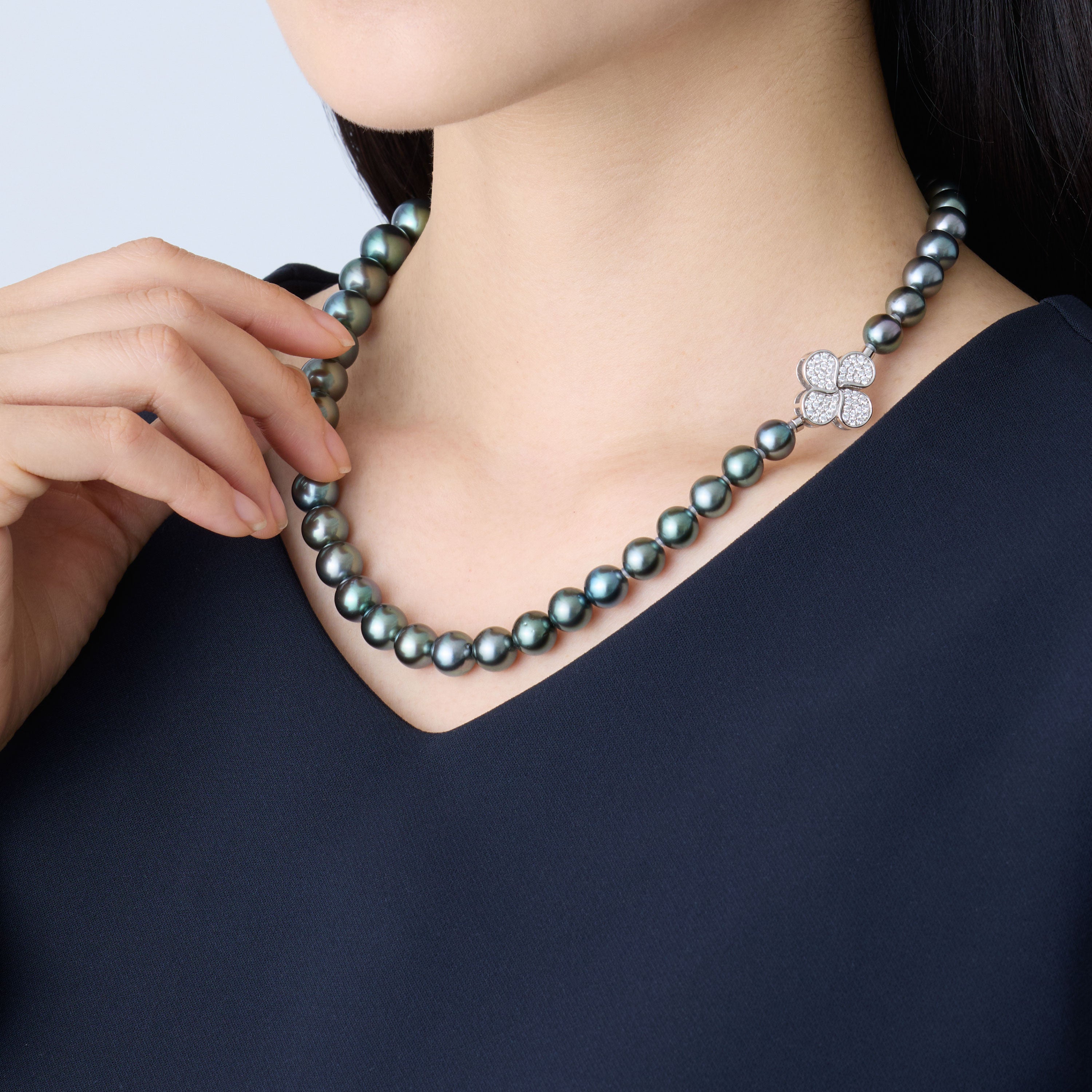 エクスクルーシブコレクション / 黒蝶真珠プレミアムピーコック