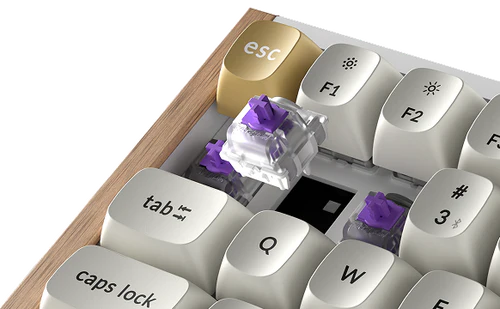 Keychron K2 HE | Teclado Magnético 75% Sem Fio Tri-Mode – Keychron