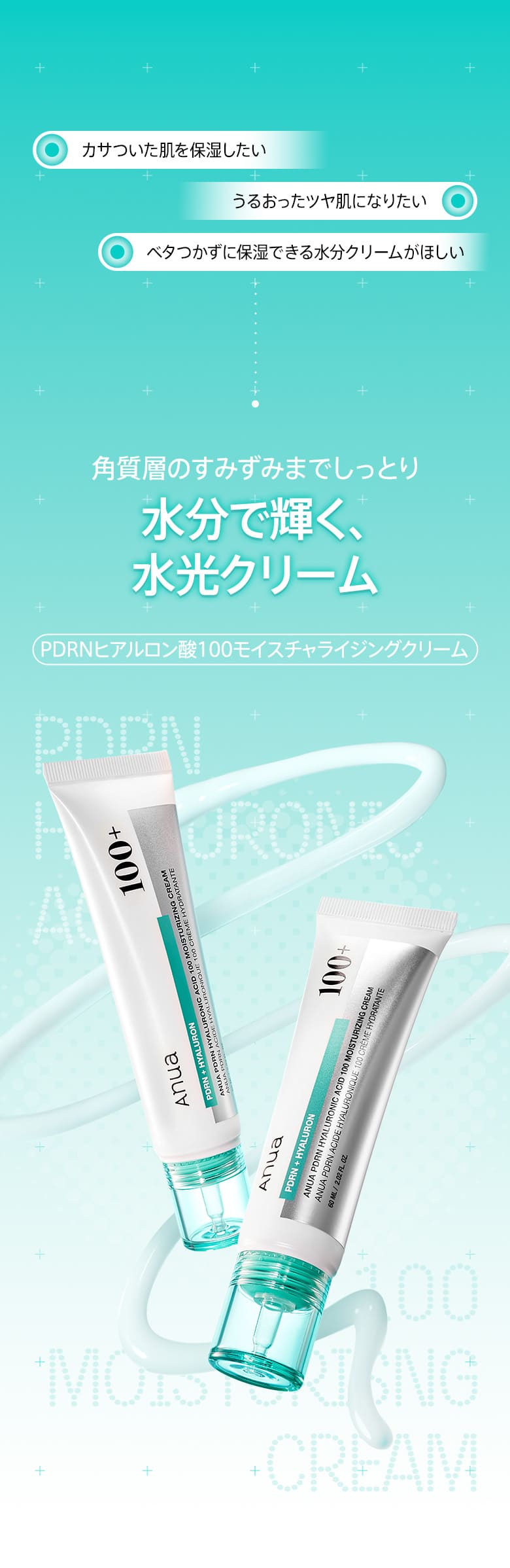 PDRNヒアルロン酸100モイスチャライジングクリーム 60ml | アヌア Anua