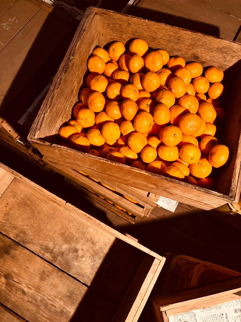 和歌山名物】蔵で貯蔵！志賀農園の蔵出し丹生みかん3kg~ | 5STAR MARCHE