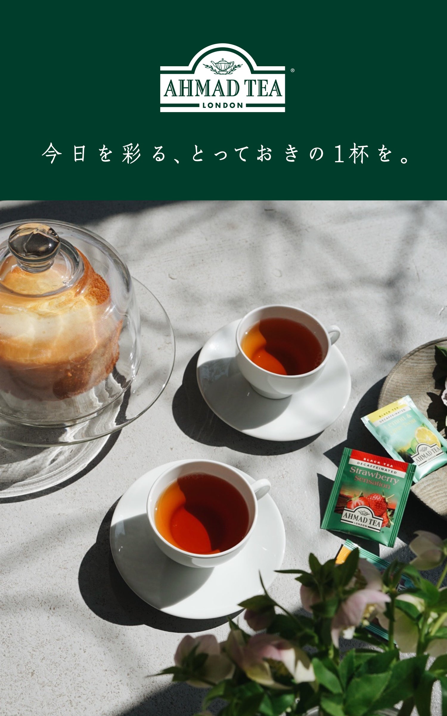 富永貿易 公式オンラインショップ ｜Tasty World!