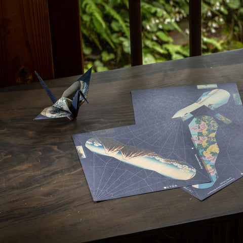 img54_480x480.jpg?v=1668045088