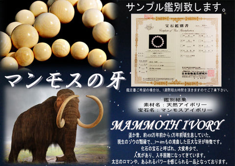マンモスの牙（1粒売り） – 天然石の店 ふうちゃん