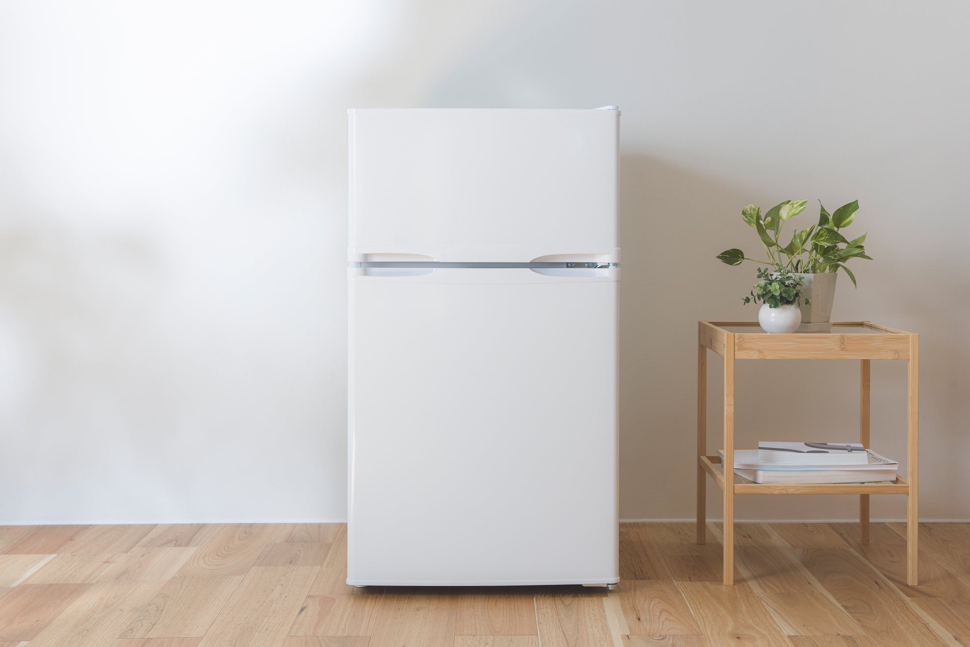 2ドア冷凍冷蔵庫 – ツインバード公式ストア