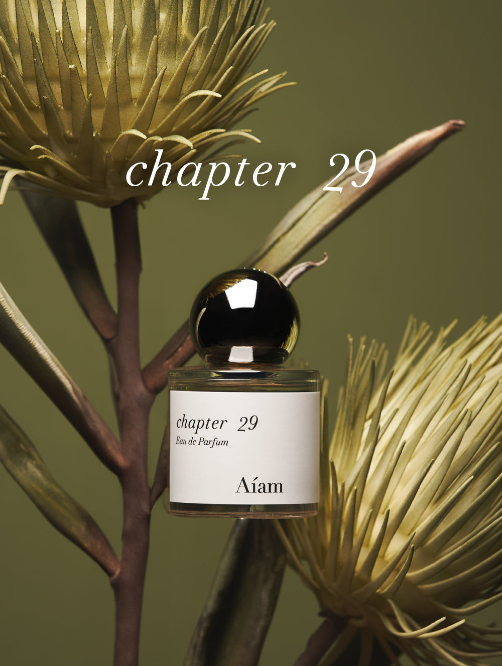fragrance chapter29