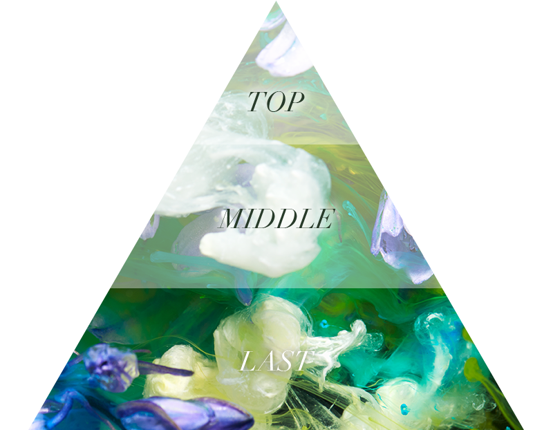 Aiam チャプター9 50mL