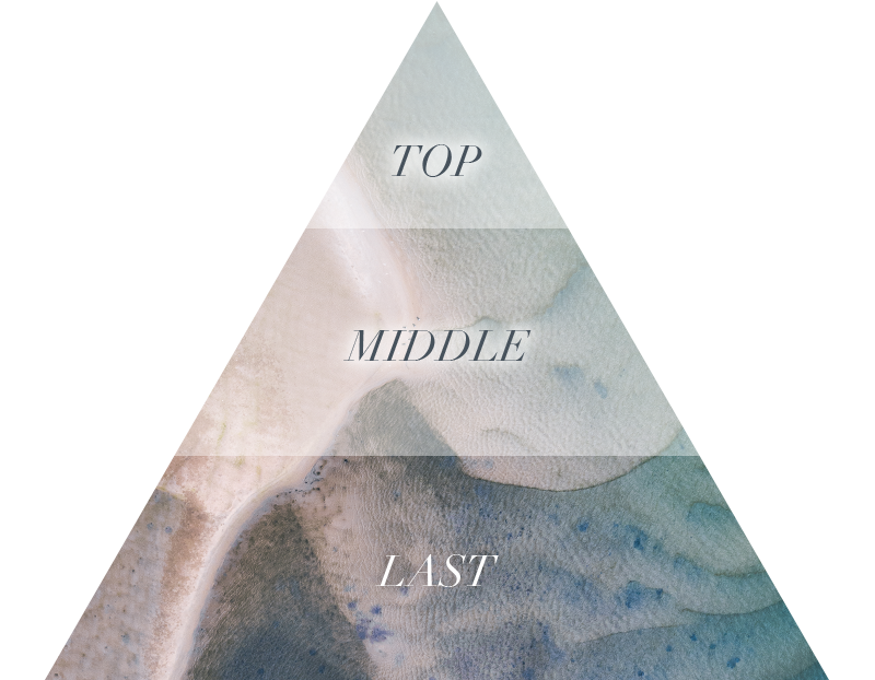 Aiam チャプター2 50ml