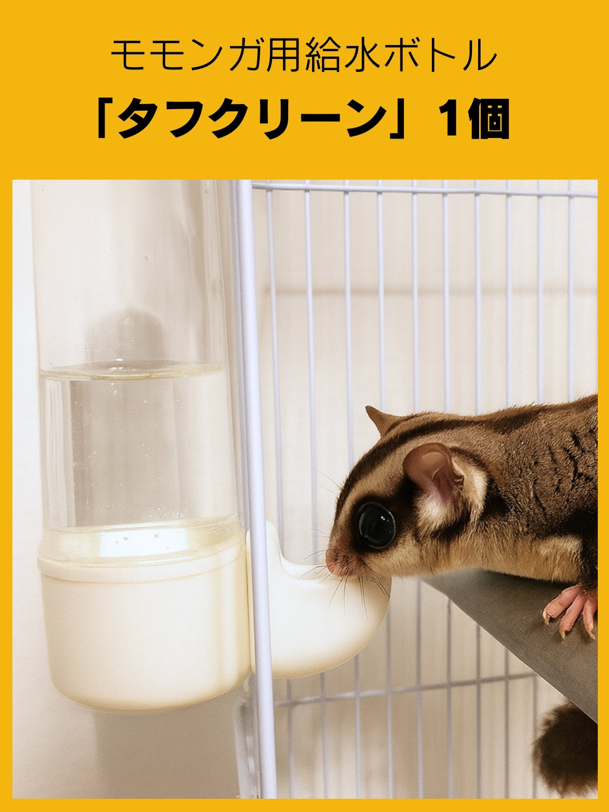30%割引で超お得】のびも初心者の必須セット,これだけで飼育は完璧