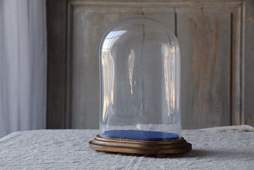 ナポレオントワ（3世）ガラスドーム（高さ28cm） フランスアンティーク